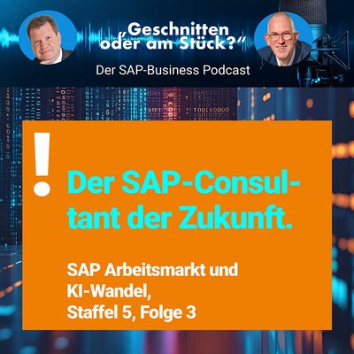SAP Consultant der Zukunft